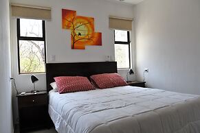 Playa Lagarto Eco Development