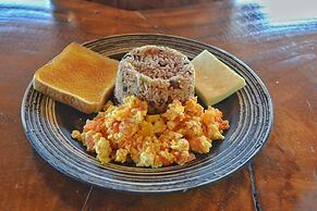 Playa Lagarto Eco Development