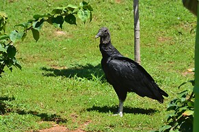 Playa Lagarto Eco Development