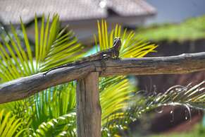 Playa Lagarto Eco Development