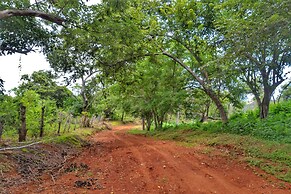 Playa Lagarto Eco Development