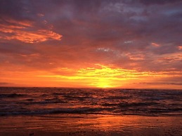 Playa Lagarto Eco Development