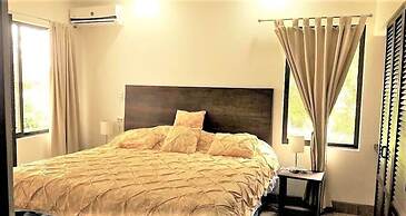 Playa Lagarto Eco Development