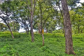 Playa Lagarto Eco Development