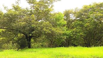 Playa Lagarto Eco Development