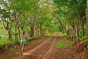 Playa Lagarto Eco Development