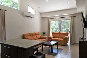 Playa Lagarto Eco Development