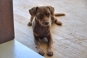 Playa Lagarto Eco Development