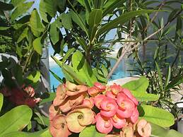 Blue Coconut Cancun Hotel