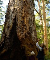 WA Wilderness