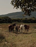 OKU Andalusia – Alcaidesa
