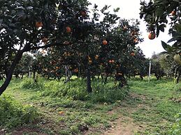 B&B Parco Dei Templi