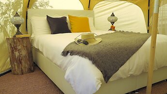 Azure Wellness Retreat - Adults Only