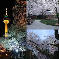 The Bomgoro Guest House in Daegu