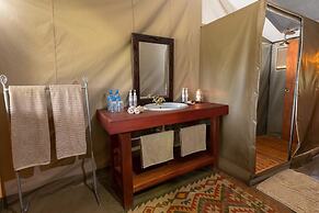 Hammerkop Migration Camp