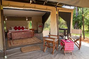 Hammerkop Migration Camp