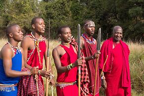 Hammerkop Migration Camp