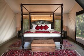 Hammerkop Migration Camp