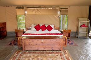 Hammerkop Migration Camp