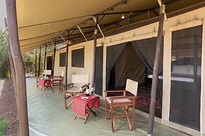 Hammerkop Migration Camp