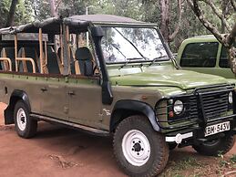 Hammerkop Migration Camp