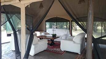 Hammerkop Migration Camp