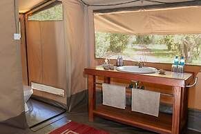 Hammerkop Migration Camp