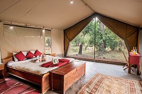 Hammerkop Migration Camp