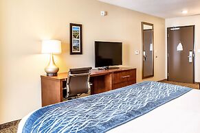 Comfort Inn & Suites Niagara Falls Blvd USA