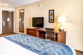 Comfort Inn & Suites Niagara Falls Blvd USA
