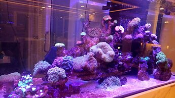 B your home Hotel Donmueang Airport Bangkok