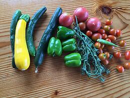 Guest House Vingt-neuf