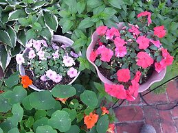 Guest House Vingt-neuf