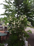 Guest House Vingt-neuf