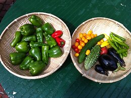 Guest House Vingt-neuf