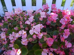 Guest House Vingt-neuf