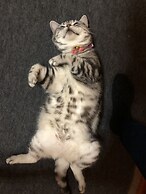 Guest House Vingt-neuf