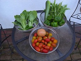 Guest House Vingt-neuf