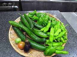 Guest House Vingt-neuf