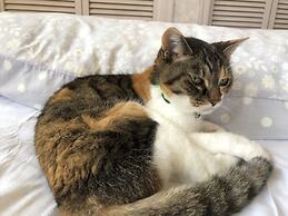 Guest House Vingt-neuf