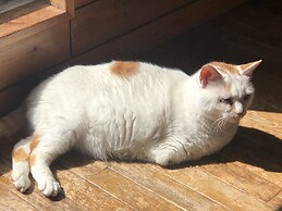 Guest House Vingt-neuf