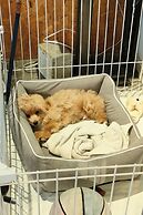 Tokyo Guest House Ouji Music Lounge - Hostel