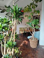 Tokyo Guest House Ouji Music Lounge - Hostel