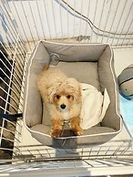 Tokyo Guest House Ouji Music Lounge - Hostel