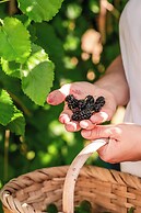 Bagbadem Tatil Ciftliği