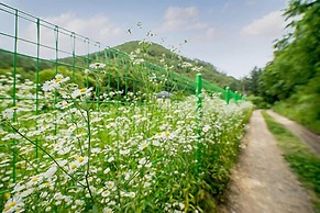 Yongin Sun & Moon Peension