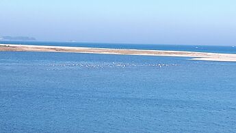 Salmon Village Pension