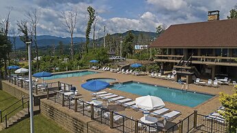 Bearly Hidden Ridge 5 Bedroom Cabin by RedAwning