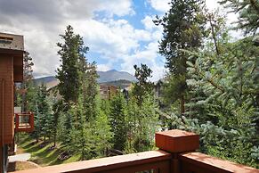 2br 2ba Winter  Walk To Historic Downtown + Gondola 2 Bedroom Townhous