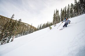 Ski-in/ Ski-out 3br 3.5ba Forest + Mountain Views Sleeps 8 3 Bedroom C